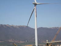 Mann Packing Wind Turbine