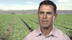 video taylor farms wind turbine